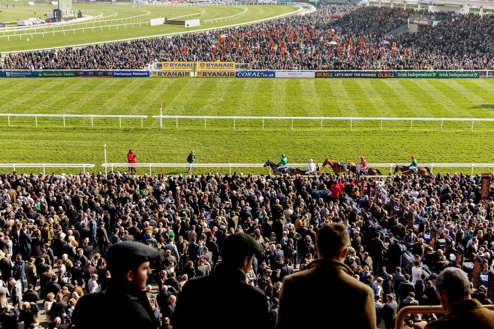 Cheltenham Festival: Chase View Hospitality photo 2