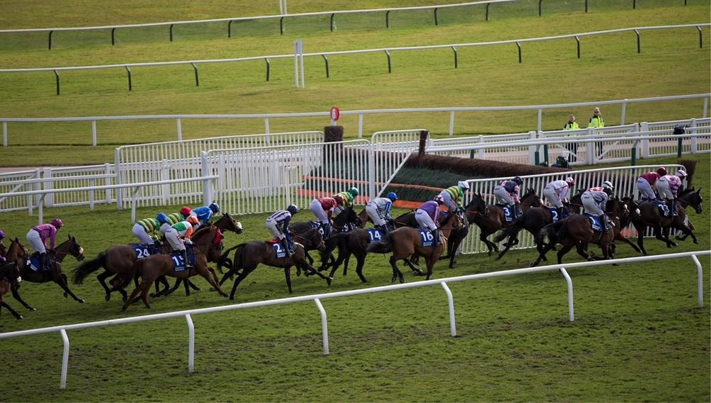 Cheltenham Festival: Chase View Hospitality photo 4
